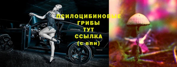 кокс Баксан