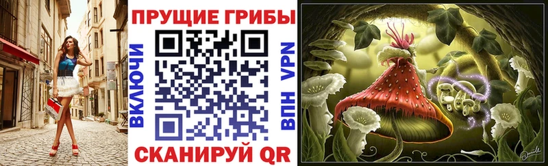 наркошоп  Городище  Галлюциногенные грибы ЛСД 